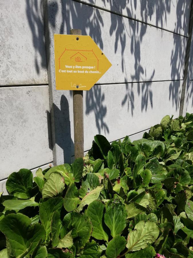 Chambres D'Hotes " Le Clos Des Colimacons " Maniquerville Luaran gambar